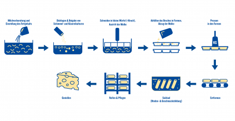 Die Reise des Käses  Herstellung, Produktion & Geschichte