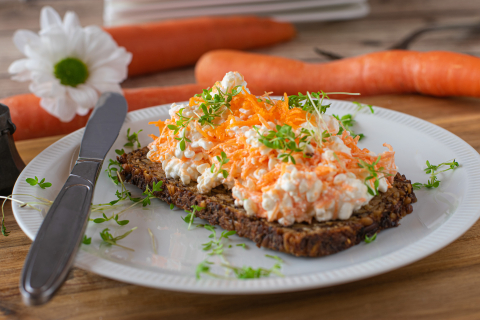 Karotten-Landfrischkäse mit Kresse