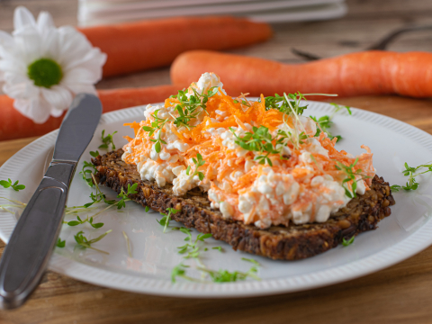 Karotten-Landfrischkäse mit Kresse