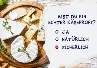 Käsekenner-Quiz