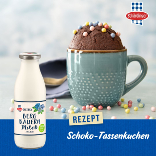 Schoko-Tassenkuchen